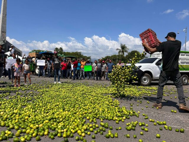 Citrus growers dump their produce in protest in Michoacan. (Credit: ACVA)
