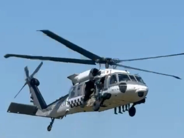 Boto Raid Main Breitbart News Foundation / Cartel Chronicles